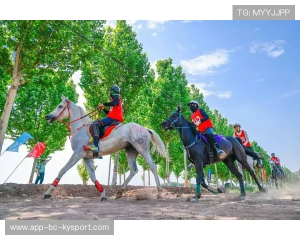 克罗地亚马术协会建立马匹基因数据库，促进马匹选育与训练。，克罗地亚马塞洛