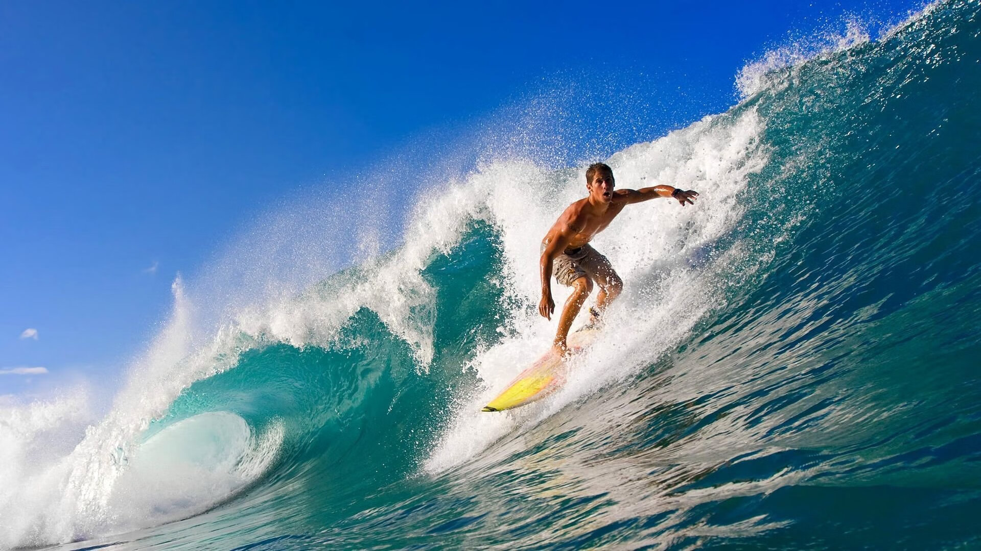 S16重回北美瞬间炸锅！网友：这是LOL世界赛的史诗复兴，s11北美s赛有哪几个队伍